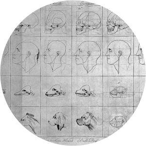 An account of the regular gradation in man Charles White - Book by Charles White