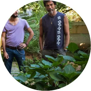 An Almost Ordinary Summer