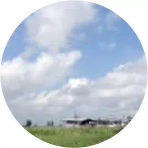 An den Ufern des Mississippi