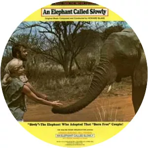 An Elephant Called Slowly