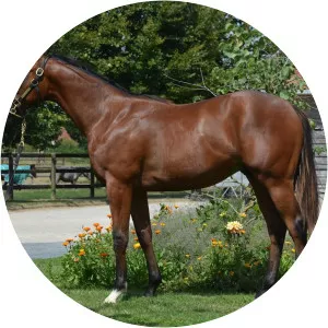 Ana Luna - Musical artist