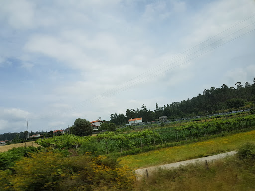 Ana Maria Da Silva - 