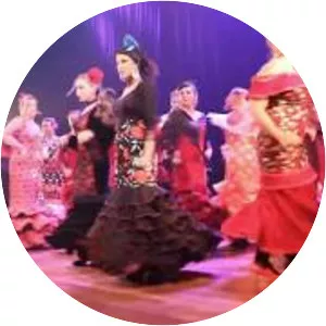 Ana Medeiros Musician