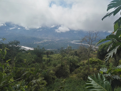 ANACONDA DEL VRAEM - Restaurant