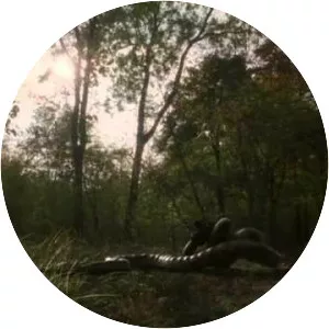 Anacondas: Trail of Blood