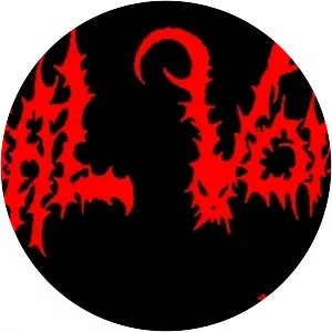 Anal Vomit - Musical group