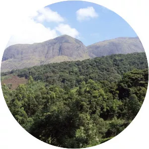 Anamudi - Mountain in India