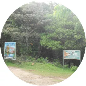 Anamudi Shola National Park - 