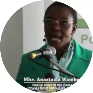 Anastazia Wambura - Member of Parliament of Tanzania