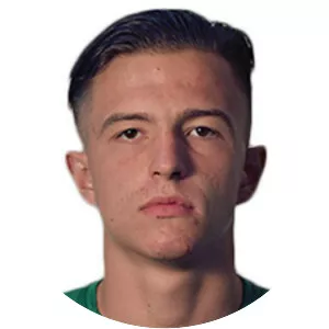 Anatoliy Trubin - Ukrainian football player