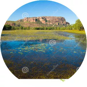 Anbangbang Billabong