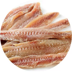 Anchovies - Food
