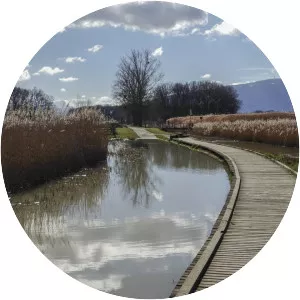 Ancien Marais de Sionnet - 