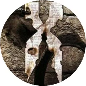 . . . And Then There Was X