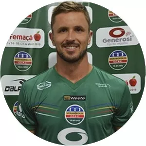 Anderson Paulo Gavineski - Football player