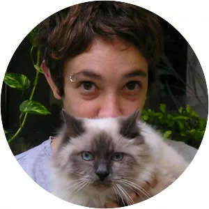 Andi Nachon - Film producer