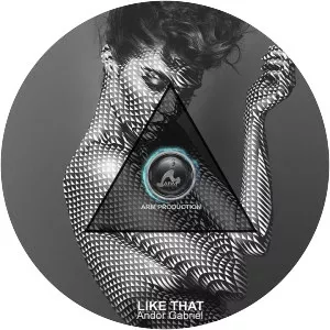 Andor Gabriel - Musical artist