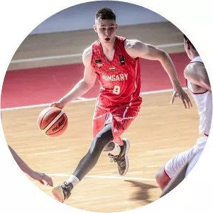 Andras Dancsecs - Basketball player