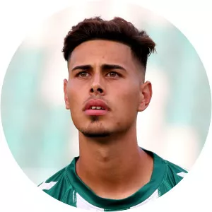 André Pedrosa - Portuguese football player