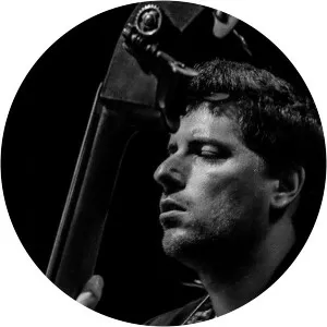 André Rosinha - Musical artist