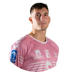 Andrea Colleluori - Handball player