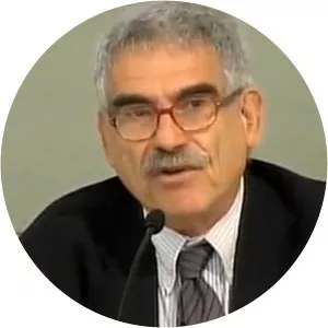 Andrea Ginzburg - Researcher