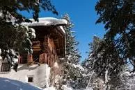 Andrea Robbi Museum - 