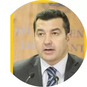 Andrés Llorens Futser - Politician