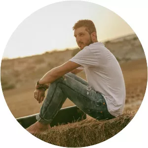 Andreu Valor Musician