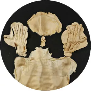 Andrew Hubatsek - Theatre actor