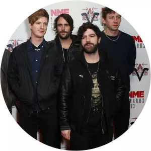 Andrew Mears Musician