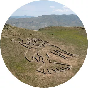 Andrew Rogers  - Artist