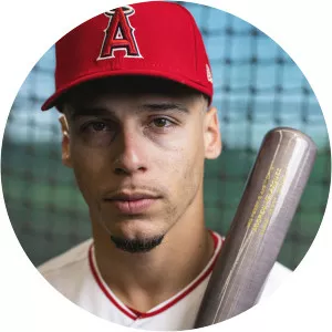 Andrew Velazquez - Baseball infielder