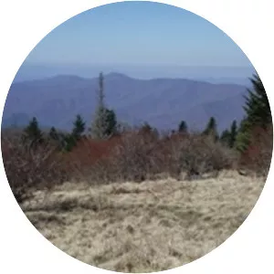 Andrews Bald - Mountain in North Carolina