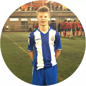 Andri Lucas Guðjohnsen