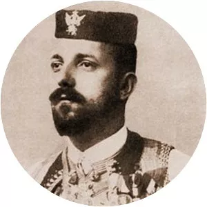 Andrija Radović