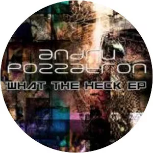 Andru Pozzatron - Musical artist