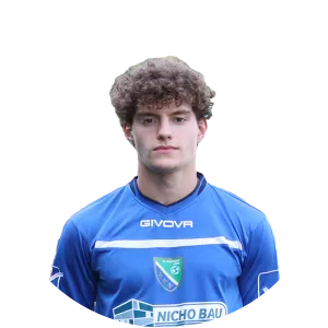 Anel Dosljak - Football player