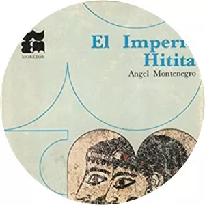 Angel Montenegro Duque - Historian