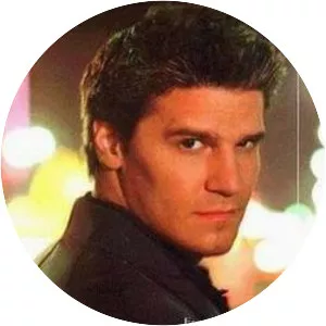 Angel: The Hollower - Comic book series