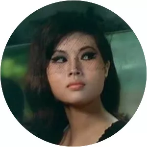 Angel With The Iron Fists