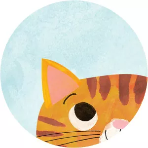 Angela Rozelaar - Illustrator