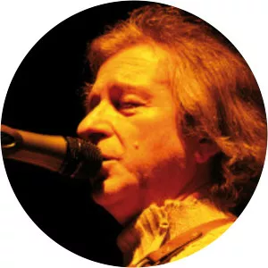 Angelo Ravasini Musician