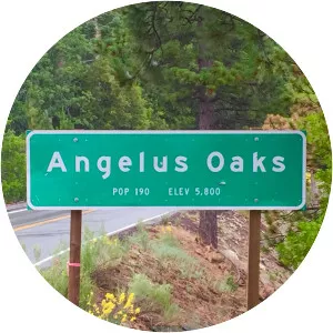 Angelus Oaks - 