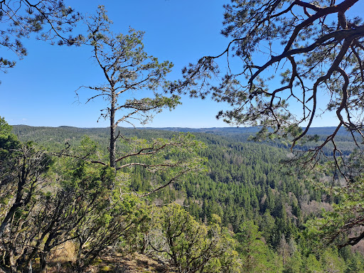 Angertuvan - Scenic spot in Skar, Sweden