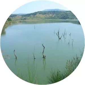 Angitola Lake