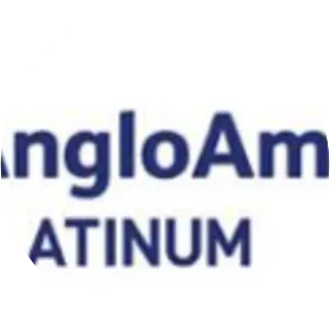Anglo American Platinum - Company