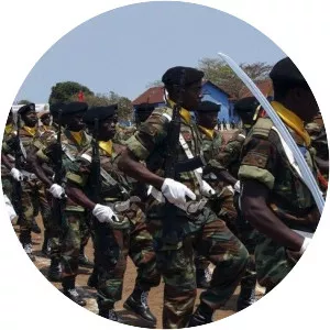 Angolan Armed Forces