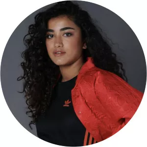 Ani-K - Musical artist