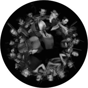 Anima Musica Chamber Orchestra